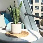 Apartment Rooftop View