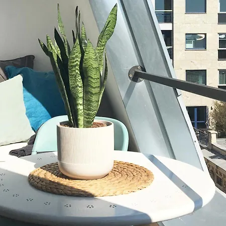 Apartment Rooftop View